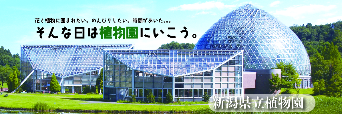 はな満載、見所満載　新潟県立植物園にいこう！！！
