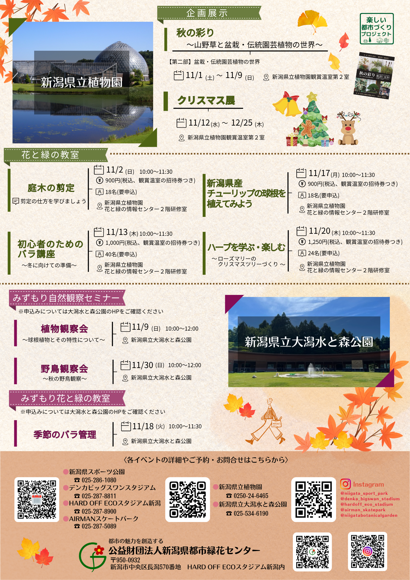 イベント情報チラシ裏