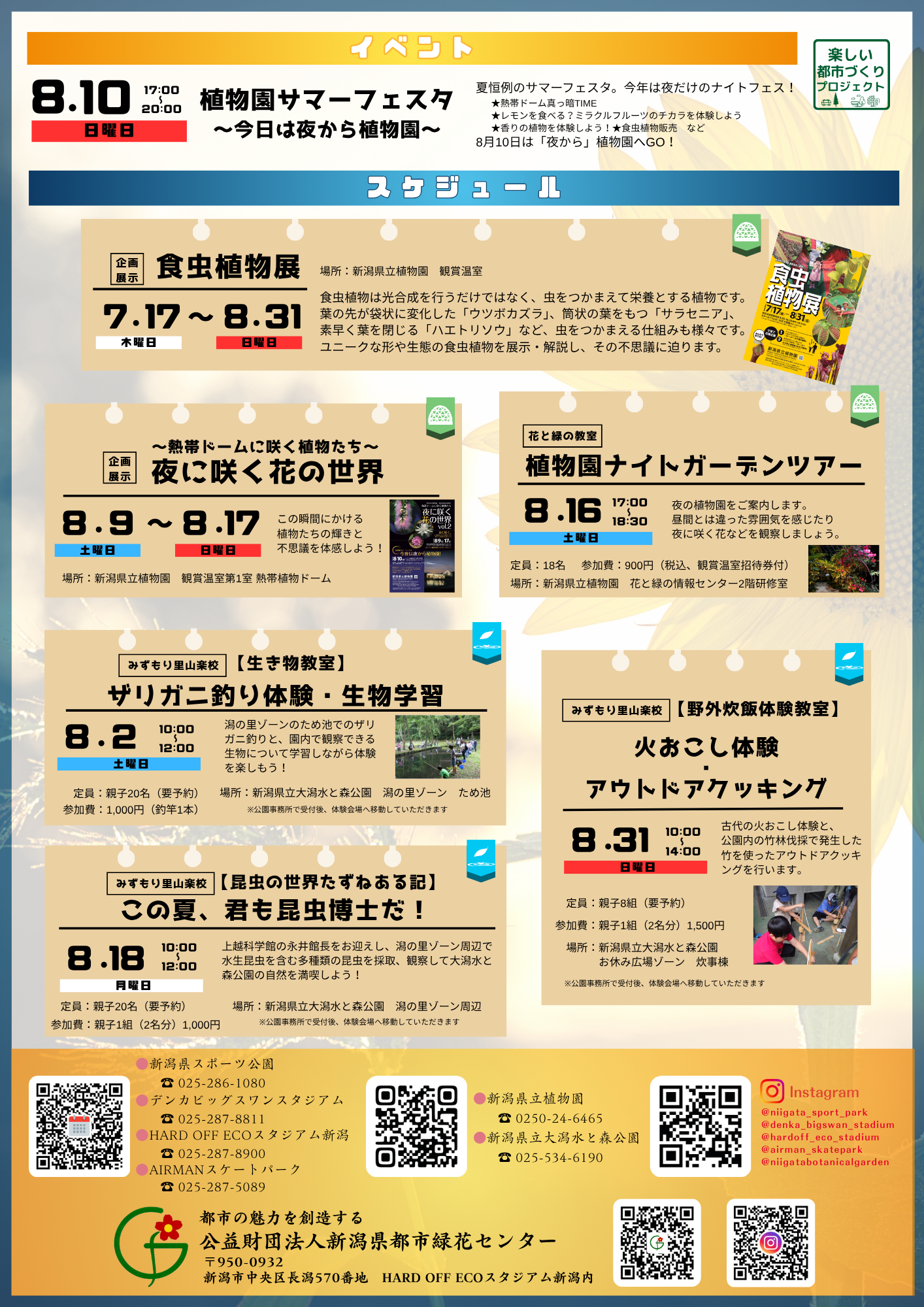 イベント情報チラシ裏