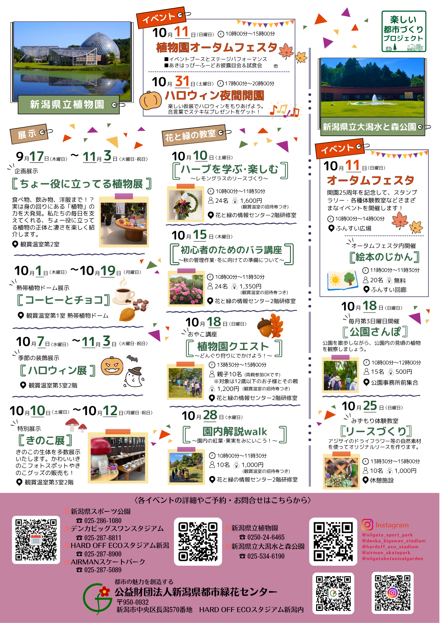 イベント情報チラシ裏
