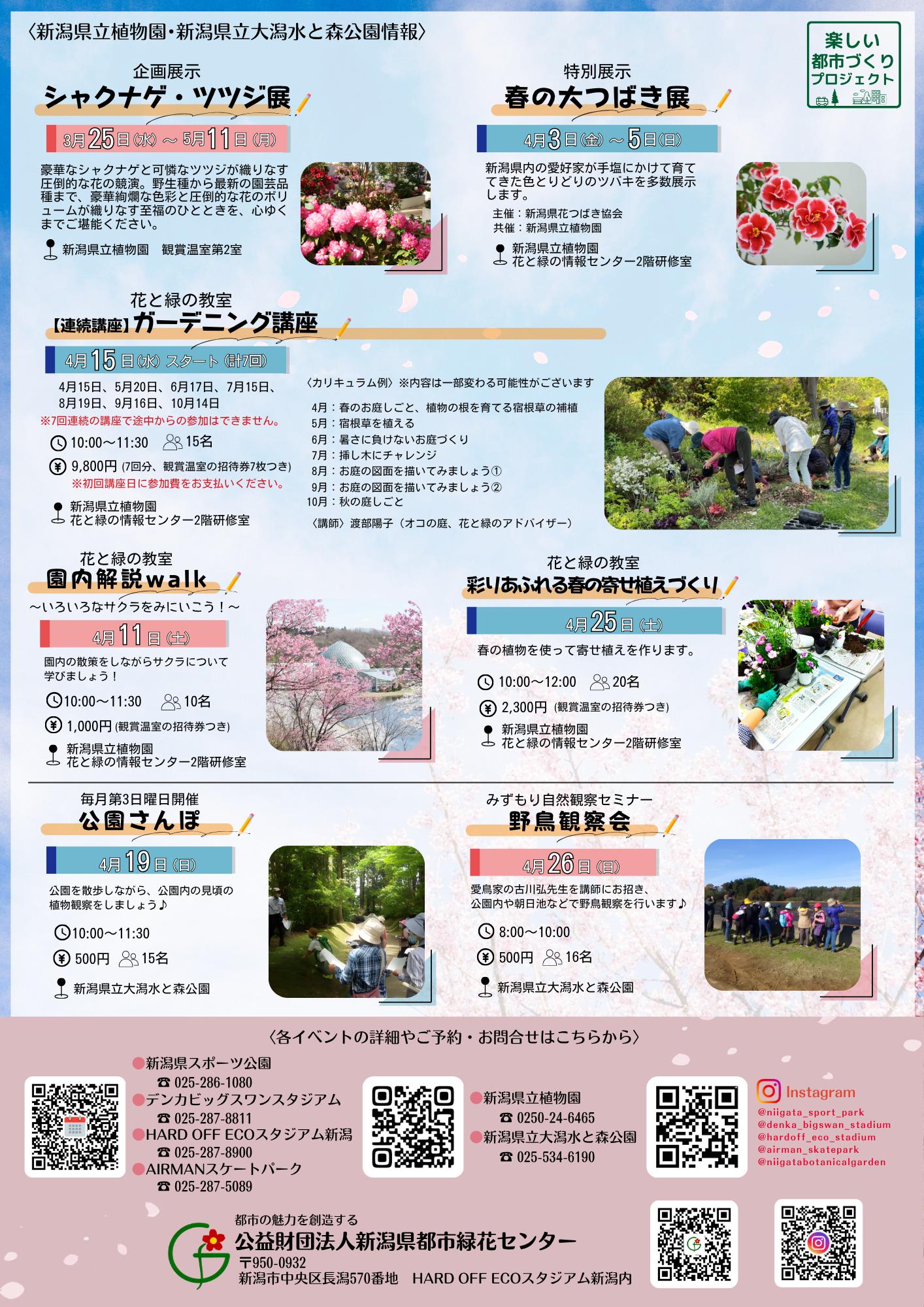 イベント情報チラシ裏