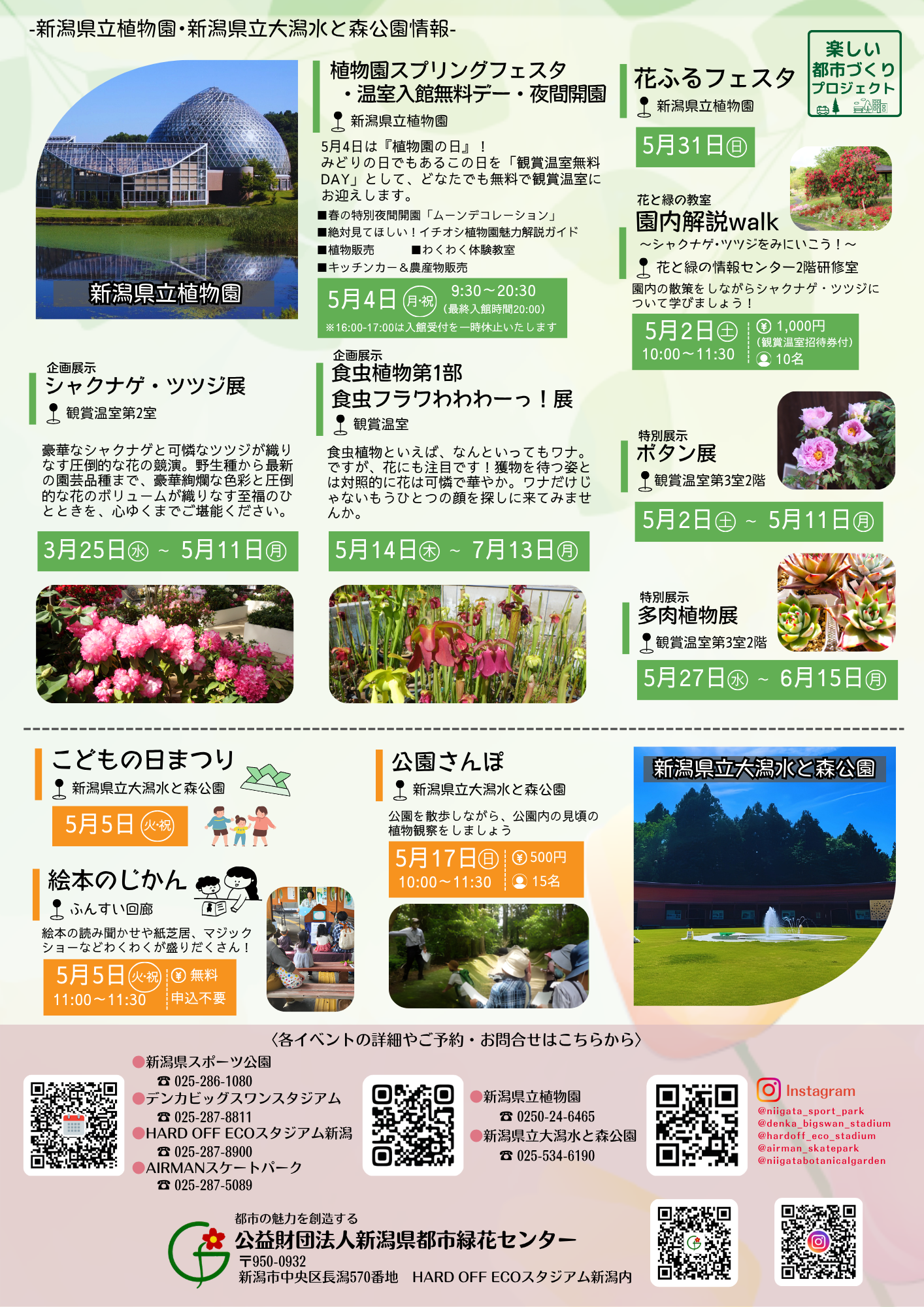 イベント情報チラシ裏