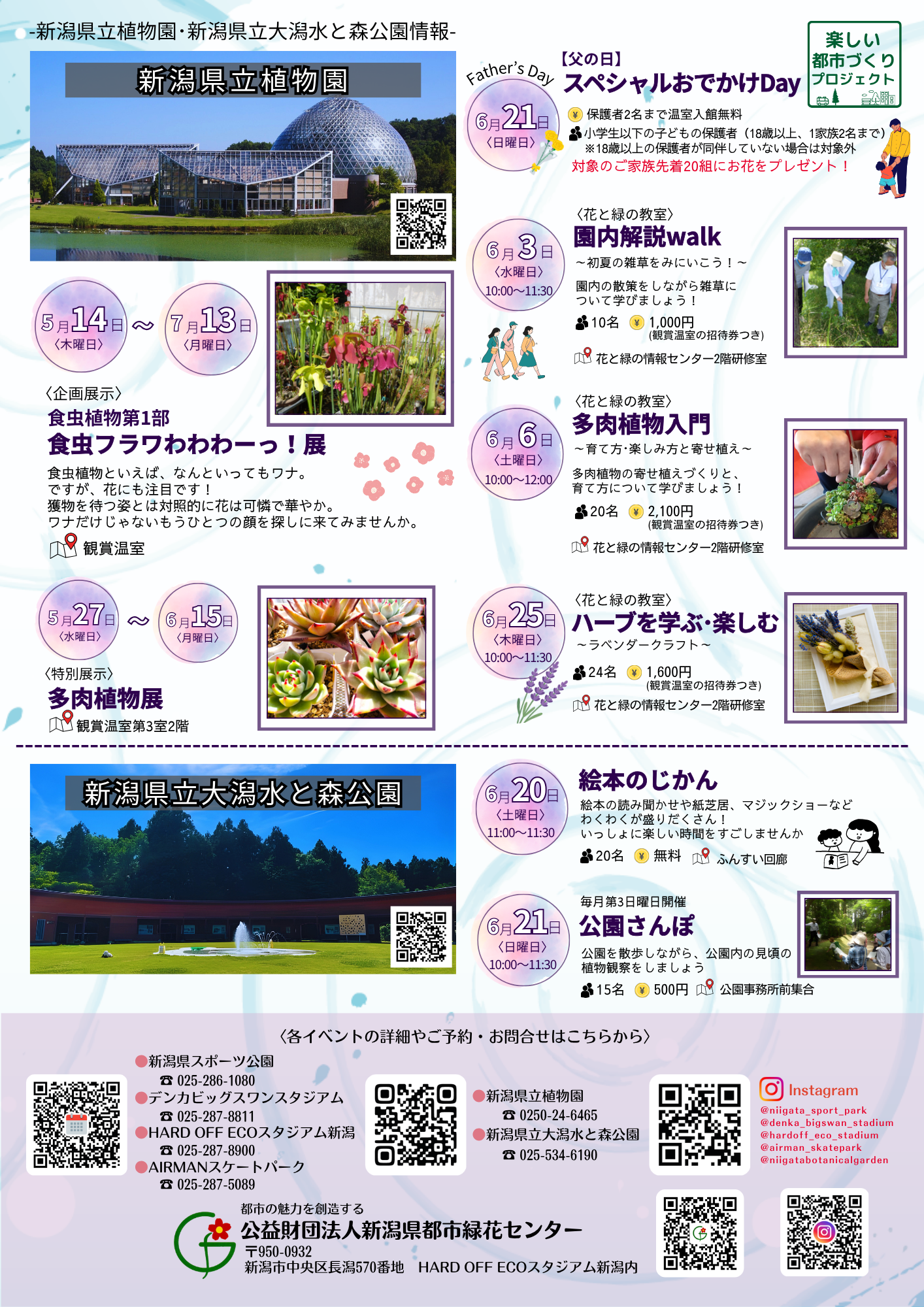 イベント情報チラシ裏